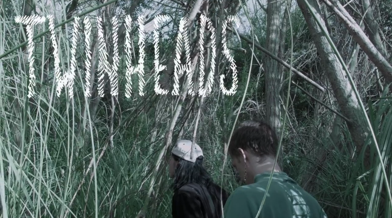 Twinheads: il documentario sui gemelli Wyatt and Fletcher Shear ovvero The Garden