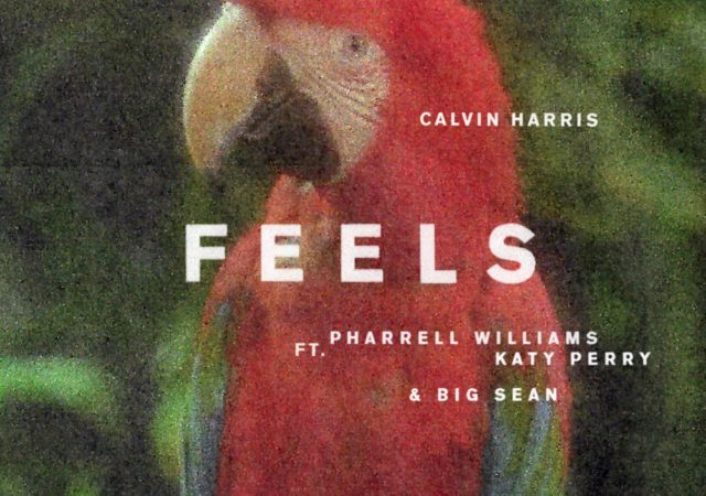 calvin harris feels